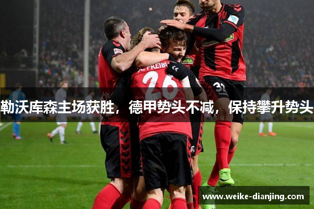 勒沃库森主场获胜，德甲势头不减，保持攀升势头