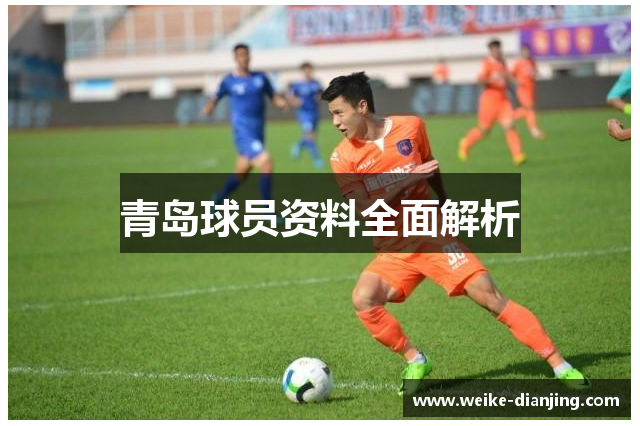 青岛球员资料全面解析