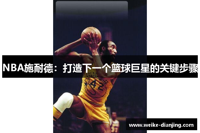 NBA施耐德：打造下一个篮球巨星的关键步骤