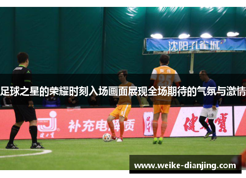 足球之星的荣耀时刻入场画面展现全场期待的气氛与激情