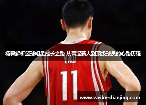 杨毅解析篮球明星成长之路 从青涩新人到顶级球员的心路历程
