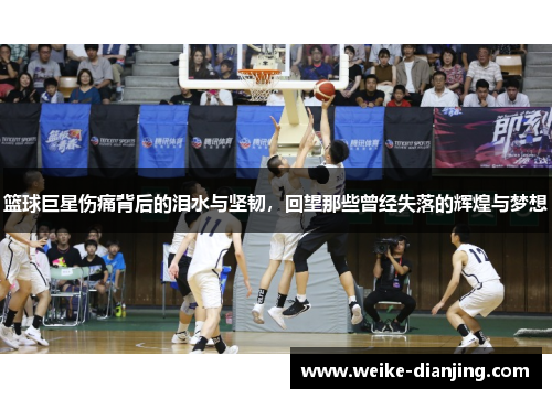 篮球巨星伤痛背后的泪水与坚韧，回望那些曾经失落的辉煌与梦想